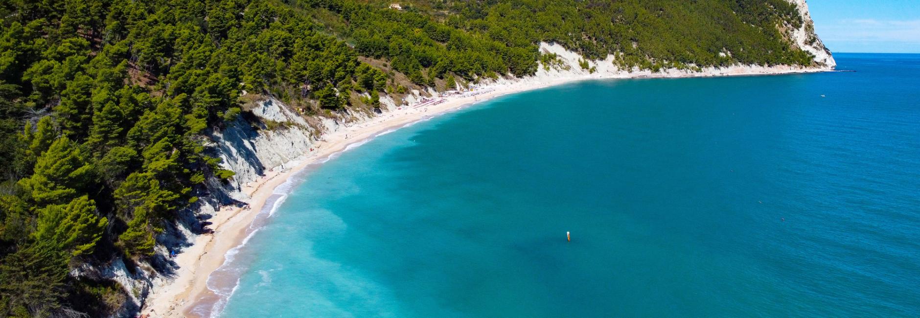 Beach with turquoise sea and green forest.